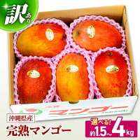 マンゴー まんごー Mango 完熟 沖縄産 アップルマンゴー フルーツ ...