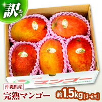 マンゴー まんごー Mango 完熟 沖縄産 アップルマンゴー フルーツ ...