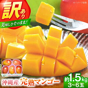 yӂ邳Ɣ[Łzys\ 2026N \tz󂠂 n}S[ 1.5kg (3`6ʓ) }S[  ʕ t[c Mtg s / Ղ`s [BCAA001]