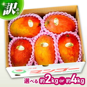 �y�ӂ邳�Ɣ[�Łz�y��s�\�� 2026�N���� �\���t�z�y�I�ׂ���e�ʁz�󂠂� ���n�}���S�[ ��2kg ��4kg �}���S�[ ���� �ʕ� �t���[�c �M�t�g ����s / �����Ղ�`�s�� [BCAA002]