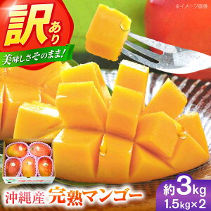 yӂ邳Ɣ[Łzys\ 2026N \tz󂠂 n}S[ 3kg ( 1.5kg (3`6) ×2 ) }S[  ʕ t[c Mtg s / Ղ`s [BCAA003]