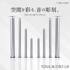 【ふるさと納税】知名オーディオ TINA AUDIO 1.0 スピーカー＆アンプセット スピーカー サウンドバー 高音質 おすすめ おしゃれ 沖縄市 / 有限会社知名御多出横 [BCAB001]