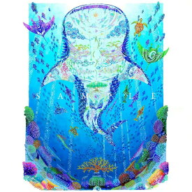 【ふるさと納税】［琉球イラストレーション］ 与儀勝之 『海の星 〜陽光の途〜 / Star of the Sea - Sunlight path -』 額装Lサイズ インテリア 雑貨 アート おしゃれ おすすめ 沖縄市 / yogima office [BCAI020]