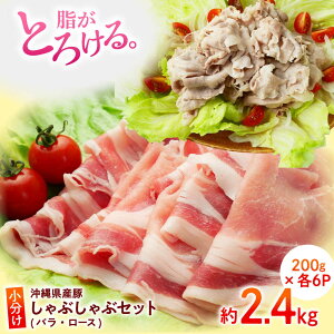 yӂ邳Ɣ[ŁzIׂeʁI ܁[ ԂԃZbg (oE[X) 1.2kg or 2.4kg ؂ ؃oXCX ؃[X ؓ ؃o Ԃ  Y 