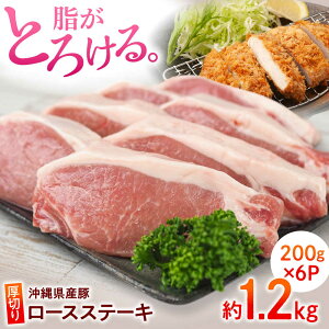 yӂ邳Ɣ[ŁzꌧYؓ ؂胍[XXe[L 1.2kg (200g×6P) ؓ Xe[L Xe[L  Ⓚ Y s / {ӂ[ [BCAJ011]