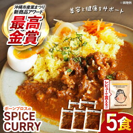 【ふるさと納税】【腸活カレー】ボーンブロスのスパイスカレー (5袋セット) 沖縄市 / BoneBrothFactoryOkinawa [BCAK012]