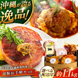 【ふるさと納税】『お手軽セット』 豚肉 ポークステーキ ハンバーグ 詰め合わせ お取り寄せ 国産 ギフト 冷凍 沖縄市 / DELICATESSEN NUCHIBUTA [BCAR006] 手作り ▼ 年末年始 年末 年越し お正月