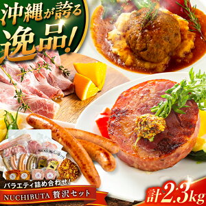 yӂ邳Ɣ[ŁzwNUCHIBUTA ґZbgx ؓ no[O \[Z[W n lߍ킹  Y Mtg Ⓚ s / DELICATESSEN NUCHIBUTA [BCAR008]
