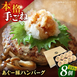 yӂ邳Ɣ[ŁzꌧY [ no[OZbg 800g (100g×8)  no[O Ⓚ Mtg  s / {X [BCAZ001]