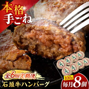 yӂ邳Ɣ[ŁzyS6ցzꌧYΊ_no[OZbg 800g (100g×8)  no[O Ⓚ Mtg  s / {X[BCAZ013]