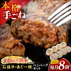 yӂ邳Ɣ[ŁzyS6ցzꌧY [؁Ί_ no[OZbg 800g (100g×8)   no[O Ⓚ Mtg  s / {X[BCAZ016]