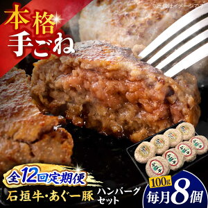 yӂ邳Ɣ[ŁzyS12ցzꌧY [؁Ί_ no[OZbg 800g (100g×8)   no[O Ⓚ Mtg  s / {X[BCAZ017]