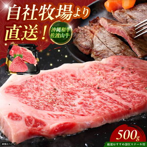 yӂ邳Ɣ[ŁzyIIߕʁza nR Xe[L 500g Xe[L  a ē Ԑg lC  Y ɏ Ⓚ s / ̃Tu[ [BCBC001]