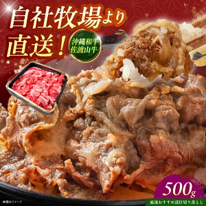 yӂ邳Ɣ[ŁzyIIߕʁza nR ؂藎Ƃ 500g  ē Ă a Ԑg lC  Y ɏ Ⓚ s / ̃Tu[ [BCBC002]