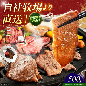 yӂ邳Ɣ[ŁzyIIߕʁza nR ēp 500g  ē Ă a Ԑg lC  Y ɏ Ⓚ s / ̃Tu[ [BCBC003]