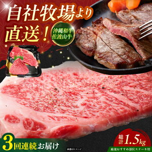 yӂ邳Ɣ[ŁzyS3ցzyIIߕʁza nR Xe[L 500g Xe[L  a ē Ԑg s / ̃Tu[ [BCBC005]