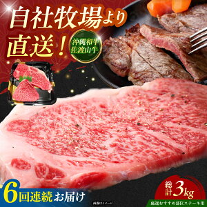 yӂ邳Ɣ[ŁzyS6ցzyIIߕʁza nR Xe[L 500g Xe[L  a ē Ԑg s / ̃Tu[ [BCBC006]