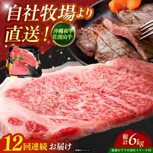yӂ邳Ɣ[ŁzyS12ցzyIIߕʁza nR Xe[L 500g Xe[L  a ē Ԑg s / ̃Tu[ [BCBC007]