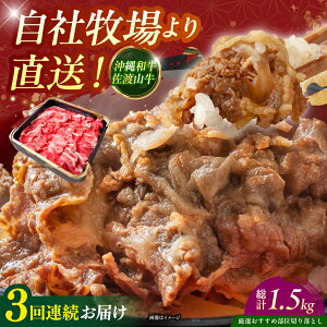 yӂ邳Ɣ[ŁzyS3ցzyIIߕʁza nR ؂藎Ƃ 500g  ē Ă a Ԑg s / ̃Tu[ [BCBC008]
