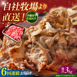 yӂ邳Ɣ[ŁzyS6ցzyIIߕʁza nR ؂藎Ƃ 500g  ē Ă a Ԑg s / ̃Tu[ [BCBC009]