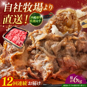 yӂ邳Ɣ[ŁzyS12ցzyIIߕʁza nR ؂藎Ƃ 500g  ē Ă a Ԑg s / ̃Tu[ [BCBC010]