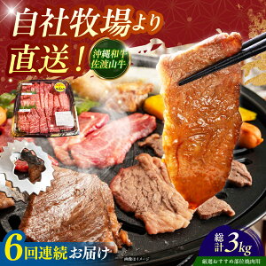 yӂ邳Ɣ[ŁzyS6ցzyIIߕʁza nR ēp 500g  ē Ă a Ԑg s / ̃Tu[ [BCBC012]