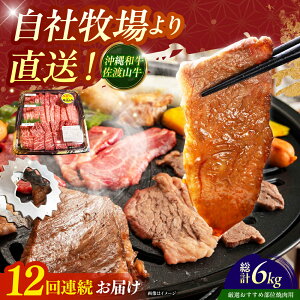 yӂ邳Ɣ[ŁzyS12ցzyIIߕʁza nR ēp 500g  ē Ă a Ԑg s / ̃Tu[ [BCBC013]