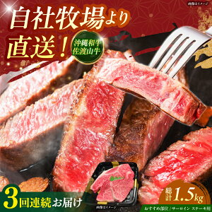 yӂ邳Ɣ[ŁzyS3ցzyʌza nR T[C󏭕 Xe[L 500g  a T[CXe[L ē Ԑg s / ̃Tu[ [BCBC014]