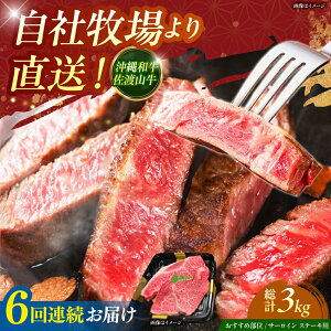 yӂ邳Ɣ[ŁzyS6ցzyʌza nR T[C󏭕 Xe[L 500g  a T[CXe[L ē Ԑg s / ̃Tu[ [BCBC015]