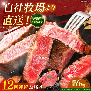 yӂ邳Ɣ[ŁzyS12ցzyʌza nR T[C󏭕 Xe[L 500g  a T[CXe[L ē Ԑg s / ̃Tu[ [BCBC016]