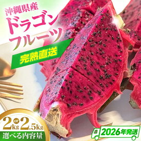 【ふるさと納税】【2026年発送 先行受付】【選べる内容量】農家直送！南国の果物 ドラゴンフルーツ 2kg or 2.5kg 火龍果 果物 フルーツ デザート お取り寄せ 沖縄市 / タカエス フルーツ＆ベジタブル [BCBH002]