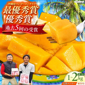 yӂ邳Ɣ[Łzys\ 2026N \tzypz_̊nAbv}S[ (1kg or 2kg) }S[  ʕ t[c Mtg s / _