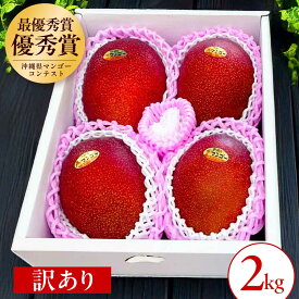 【ふるさと納税】【2026年発送】仲村農園の 完熟アップルマンゴー ( 訳あり ) 1kg or 2kg