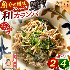 【ふるさと納税】新感覚！ 汁なし 沖縄そば 和カラソバ ( 2人前 or 4人前 ) 沖縄そば おきなわそば ご当地グルメ お土産 ギフト おすすめ 人気 和風 出汁 沖縄市 / みやんち STUDIO&COFFEE