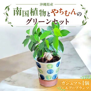 yӂ邳Ɣ[Łz썑AƂ₿ނ̃O[Zbg ϗtA GA[vc CeA G   i` s / ԉӂꂠ[BCDX001]