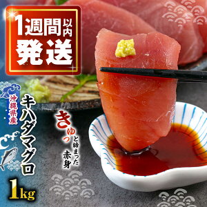 yӂ邳Ɣ[ŁzⓀLn_}O 1kg (500g×2pbN) }O ܂  Ⓚ hg Ԑg s / sƋg pIX[BCDZ001]