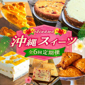 yӂ邳Ɣ[ŁzyS6ցz OKINAWANXC[c\ P[L mَq XC[c Mtg yY Ⓚ s / ЃNbvEЃt@[Xg}[NEZAZOUEVtHP[LV