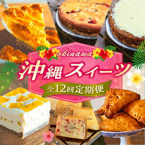 yӂ邳Ɣ[ŁzyS12ցz OKINAWANXC[c\ P[L mَq XC[c Mtg yY Ⓚ s / ЃNbvEЃt@[Xg}[NEZAZOUEVtHP[LV