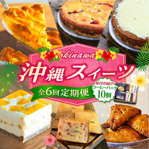 yӂ邳Ɣ[ŁzyS6ցz OKINAWANXC[c\ (R[q[obOZbg / 10) P[L mَq XC[c Mtg yY Ⓚ s / ЃNbvEЃt@[Xg