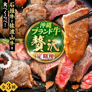 yӂ邳Ɣ[ŁzyS3ցzuh\Iґ򂨓ցysz a T[CXe[L ē Ԑg s / ̃Tu[ / {X[BCZZ027]