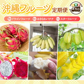 【ふるさと納税】【2026年9月より順次発送】【3回定期便】沖縄フルーツ定期便（9・10・11月コース）｜フルーツ くだもの 果物 スターフルーツ ドラゴンフルーツ バナナ 名護パイン園 定期便 フルーツ定期便 沖縄フルーツ 先行予約 おきなわ 沖縄県 豊見城市(AC018)
