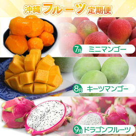 【ふるさと納税】【先行予約】【2026年7月より順次発送】【3ヶ月定期便】沖縄フルーツ定期便(7・8・9月コース)｜フルーツ くだもの 果物 マンゴー キーツマンゴー ドラゴンフルーツ 名護パイン園 定期便 フルーツ定期便 先行予約 沖縄県 豊見城市(AC021)