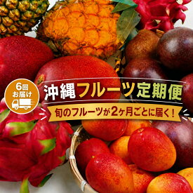 【ふるさと納税】【6回定期便】人気！沖縄フルーツ定期便(年6回)｜フルーツ 果物 くだもの マンゴー キーツマンゴー アップルマンゴー パッションフルーツ スターフルーツ ドラゴンフルーツ バナナ 完熟 沖縄フルーツ 沖縄 沖縄県 人気 名護パイン園 定期便 送料無料(AC020)