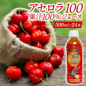 yӂ邳Ɣ[ŁzyIׂ{zAZ100 Xg[g100%W[X(500ml×6`24{)bAZ t[c ʕ  AZW[X W[X t[cW[X Xg[g ʏ` ꌧ 