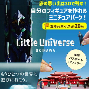 yӂ邳Ɣ[ŁzyIׂzLittle Universe NԃpX|[giAJ005j