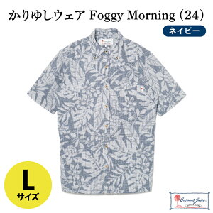 yӂ邳Ɣ[ŁzyCoconut Juicez 䂵EFA Foggy Morning (24)yJ[FlCr[ATCYFMELELLzb䂵  ߕ  䂵EFA Ȃ ꌧ LsiCB008j
