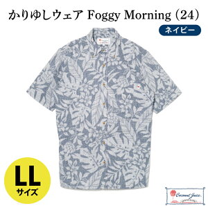 yӂ邳Ɣ[ŁzyCoconut Juicez 䂵EFA Foggy Morning (24)yJ[FlCr[ATCYFMELELLzb䂵  ߕ  䂵EFA Ȃ ꌧ LsiCB008j