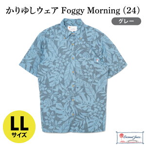 yӂ邳Ɣ[ŁzyCoconut Juicez 䂵EFA Foggy Morning (24)yJ[FO[ATCYFMELELLzb䂵  ߕ  䂵EFA Ȃ ꌧ LsiCB011j