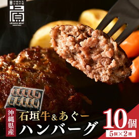 【ふるさと納税】石垣牛＆あぐーハンバーグセット | 肉 お肉 にく 牛肉 豚肉 石垣牛 あぐー豚 ハンバーグ セット 沖縄県 豊見城市（AG011-1）