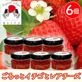 【ふるさと納税】ごろっとイチゴとレアチーズ｜ケーキ スイーツ デザート イチゴ いちご 苺 レアチーズケーキ チーズケーキ プレゼント ギフト 贈り物 人気 沖縄 沖縄県 豊見城市(AX001)